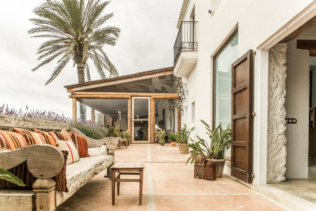 Casa Maca - terras met palmboom