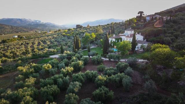 Hotel La Fuente de la Higuera - het landhuis tussen de olijfbomen