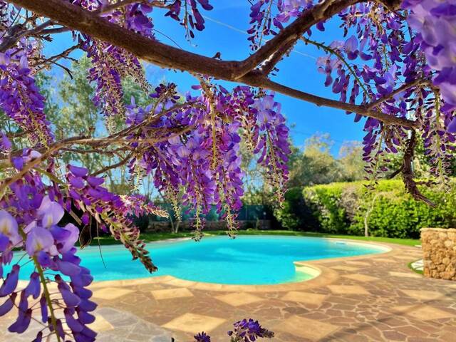 Azienda Agrituristica Sa Mandra - zwembad onder de blauweregen