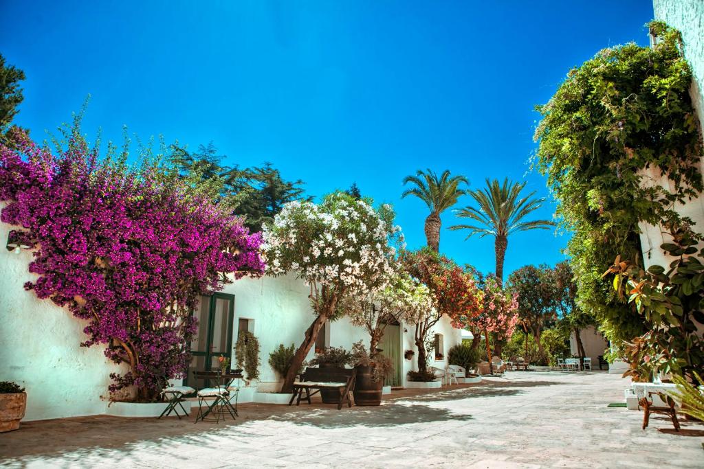 Masseria Il Frantoio - bougainville tegen de witte muur