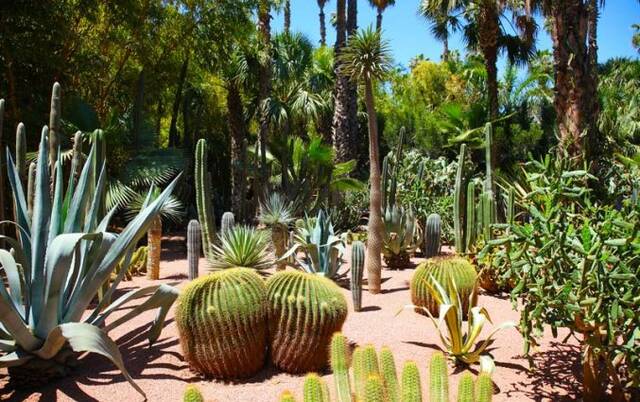 Jardin Majorelle