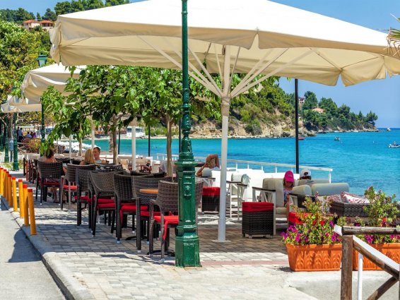 Hotel Dolphin Beach