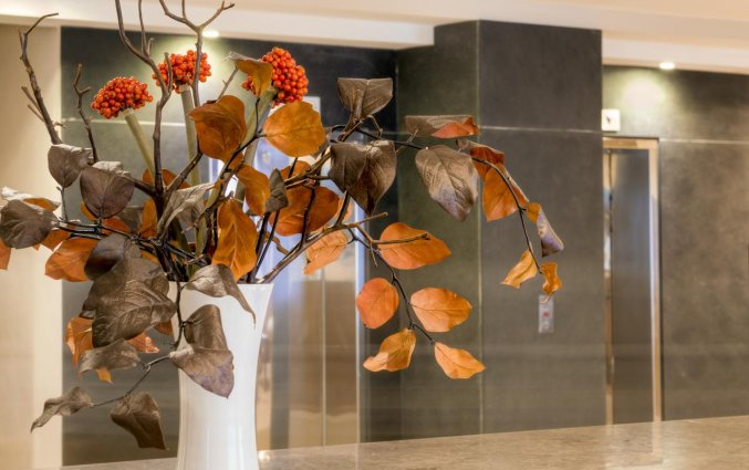 Hotel Argento
