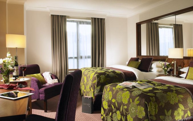 Tweepersoonskamer van Hotel Camden Court in Dublin